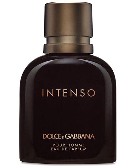 dolce gabbana intenso macy's